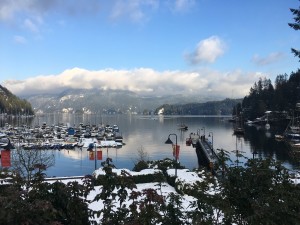 IMG_2940